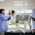 Find and compare Mobile Dog Grooming services,Professional Mobile Dog Wash,Mobile Pet Grooming quotes,Local Mobile Dog Grooming Services,Local Mobile Pet Grooming,Mobile Pet Grooming offers,Mobile Dog Wash services,Quotes from Mobile Pet Grooming companies